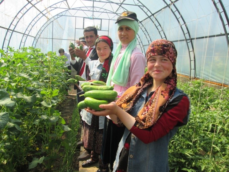 Наши партнеры из Таджикистана поделились материалом о своей деятельности по сохранению агробиоразнообразия в Раштском районе.